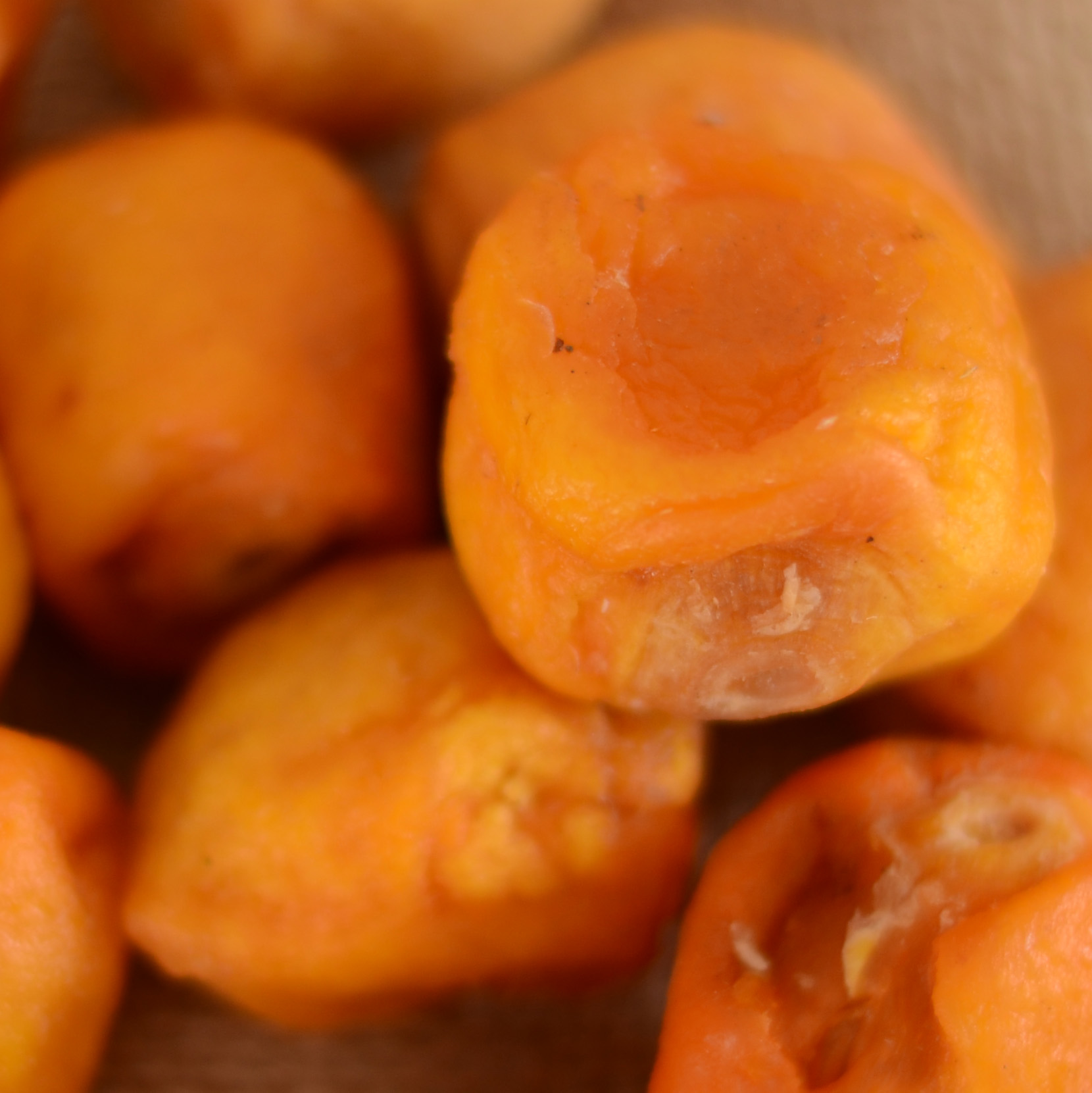 Pelones de Durazno Fornes